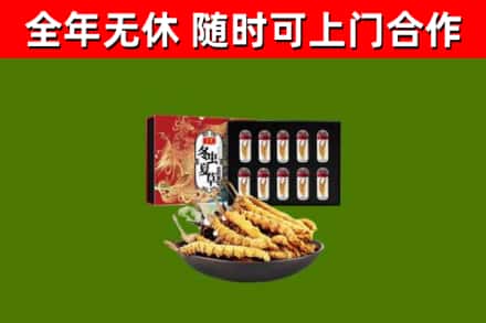 十堰市回收冬虫夏草价格